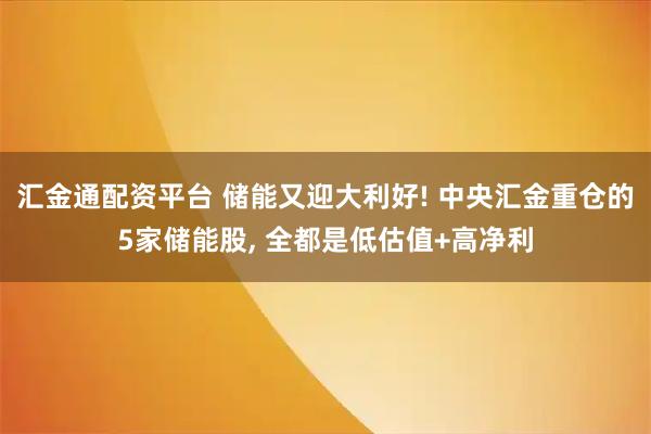 汇金通配资平台 储能又迎大利好! 中央汇金重仓的5家储能股, 全都是低估值+高净利