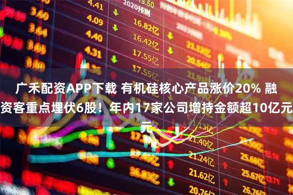 广禾配资APP下载 有机硅核心产品涨价20% 融资客重点埋伏6股！年内17家公司增持金额超10亿元