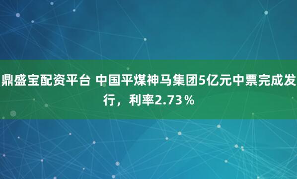 鼎盛宝配资平台 中国平煤神马集团5亿元中票完成发行，利率2.73％